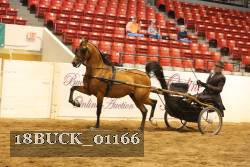 18BUCK_01166 proof