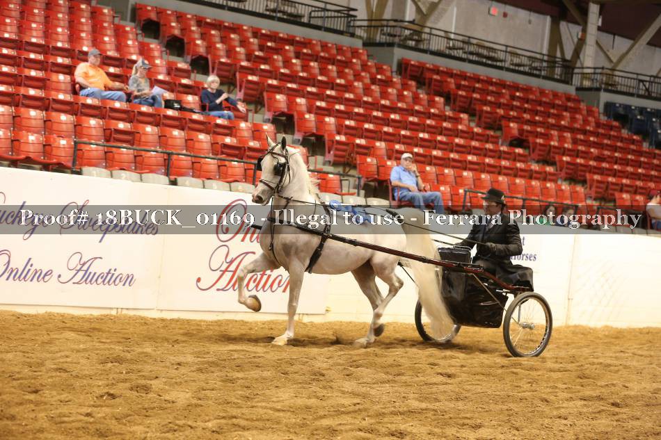 Proof 18BUCK_01169