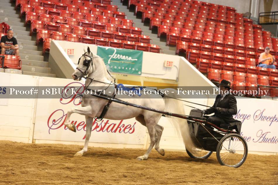 Proof 18BUCK_01171