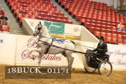 18BUCK_01171 proof