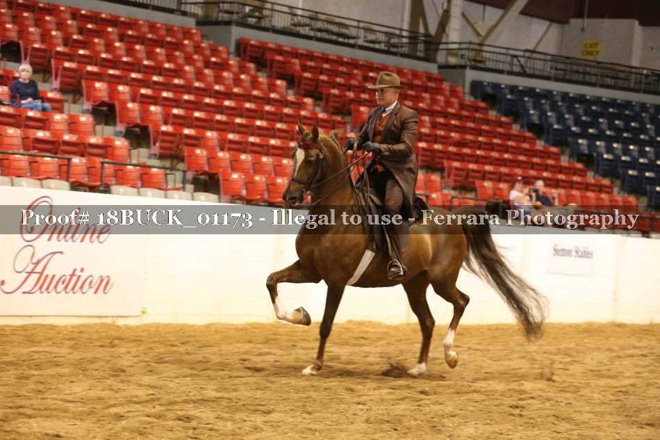 Proof 18BUCK_01173