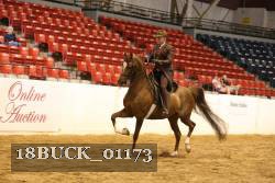 18BUCK_01173 proof