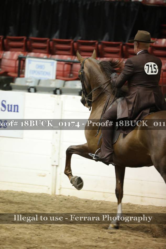 Proof 18BUCK_01174