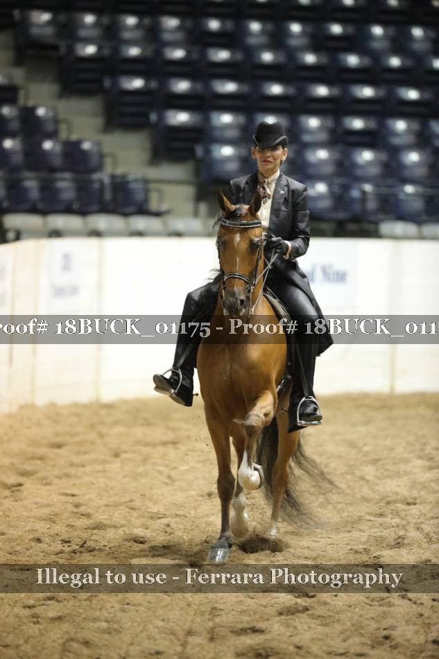 Proof 18BUCK_01175