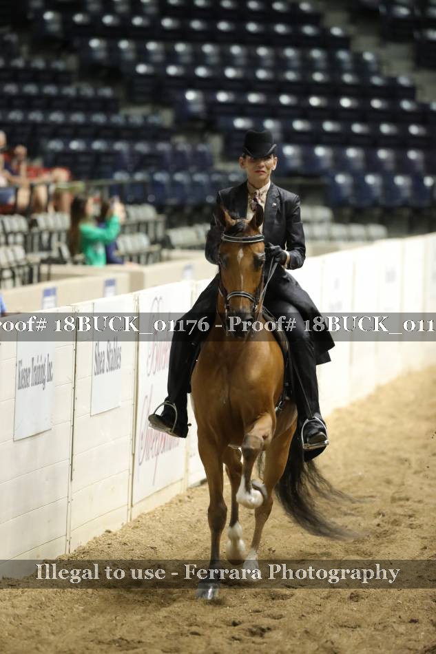 Proof 18BUCK_01176