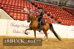 18BUCK_01177 proof