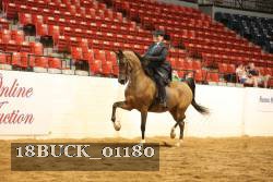 18BUCK_01180 proof