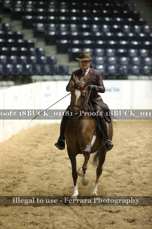 Proof 18BUCK_01181