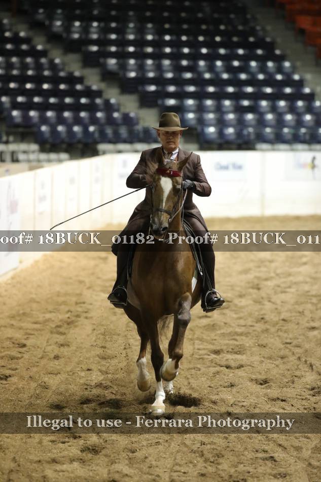 Proof 18BUCK_01182