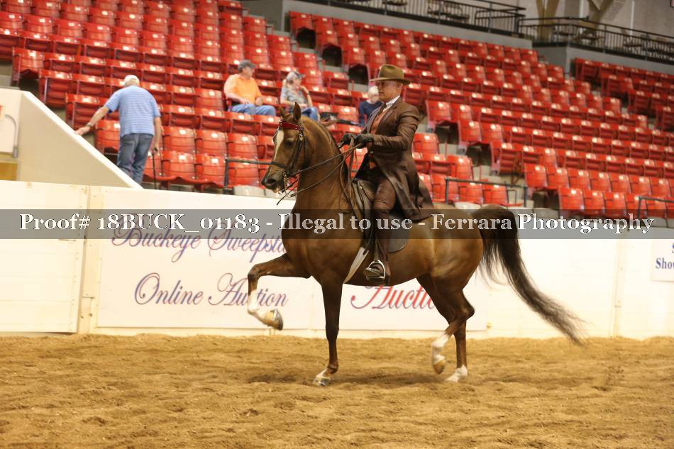 Proof 18BUCK_01183