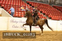 18BUCK_01183 proof
