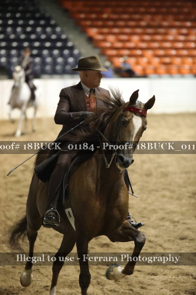 Proof 18BUCK_01184