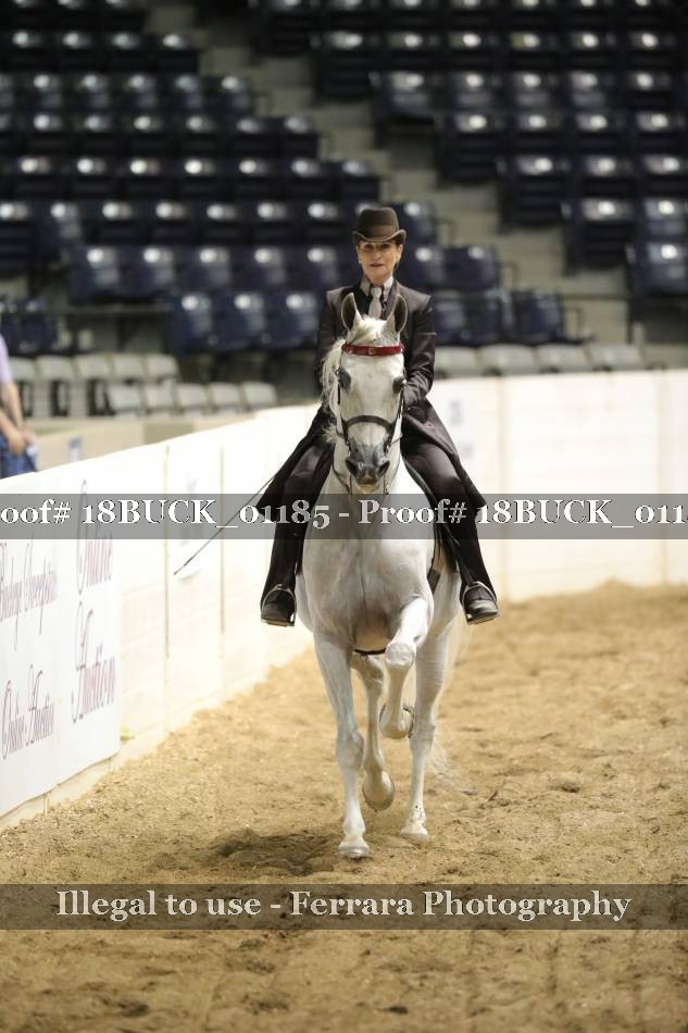 Proof 18BUCK_01185