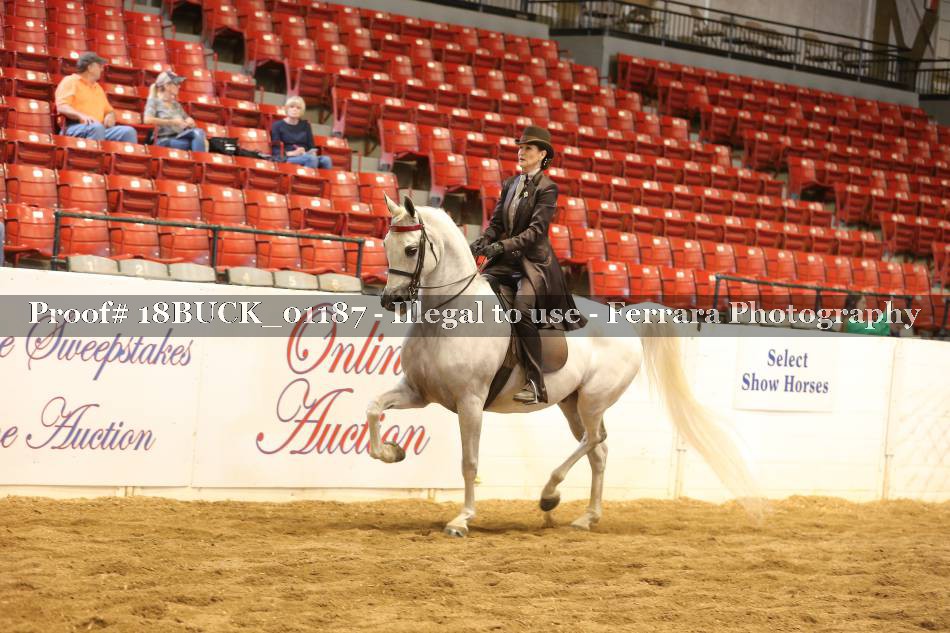 Proof 18BUCK_01187