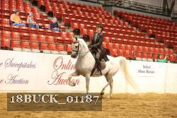 18BUCK_01187 proof