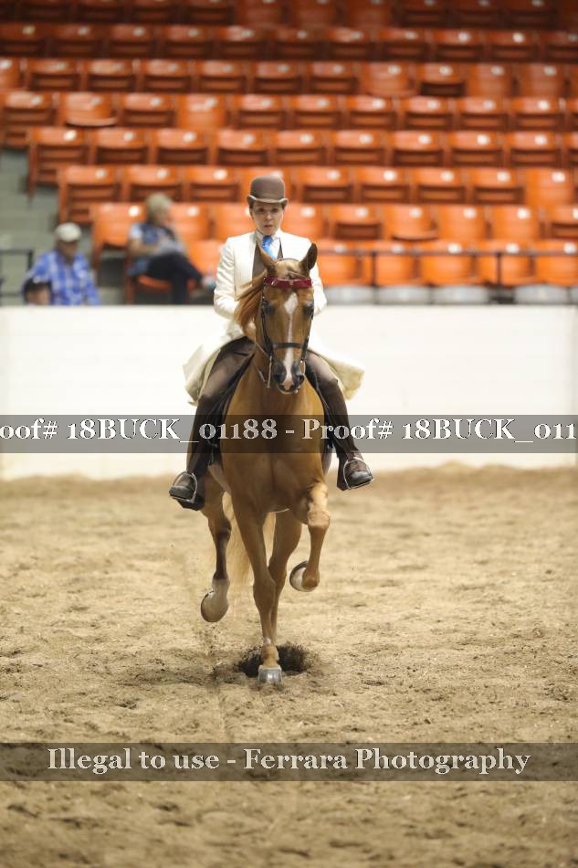 Proof 18BUCK_01188
