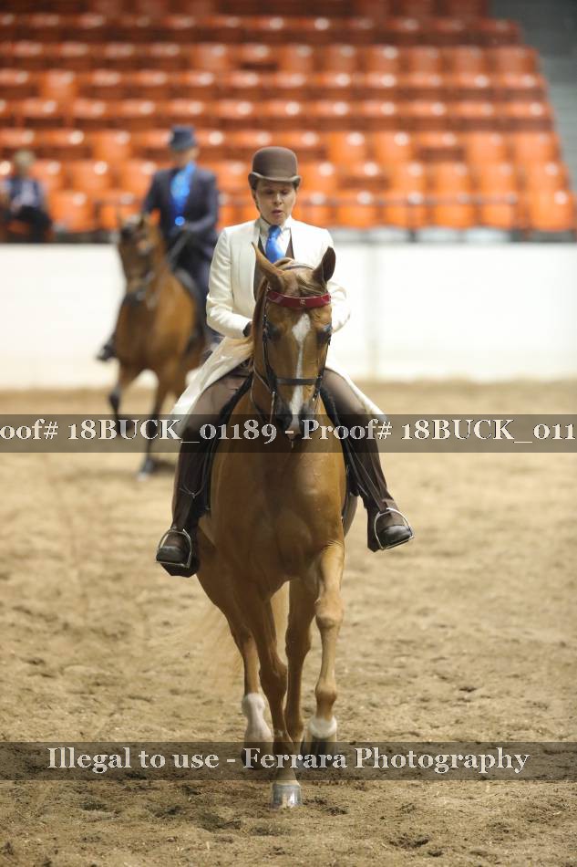 Proof 18BUCK_01189