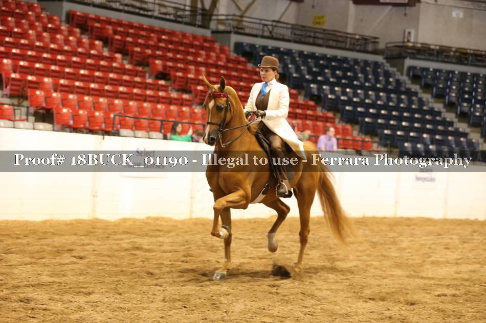 Proof 18BUCK_01190