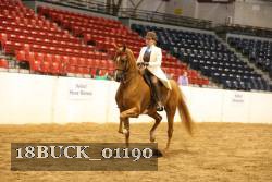 18BUCK_01190 proof