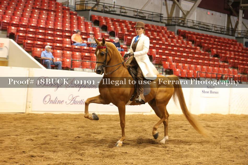Proof 18BUCK_01191