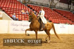 18BUCK_01191 proof