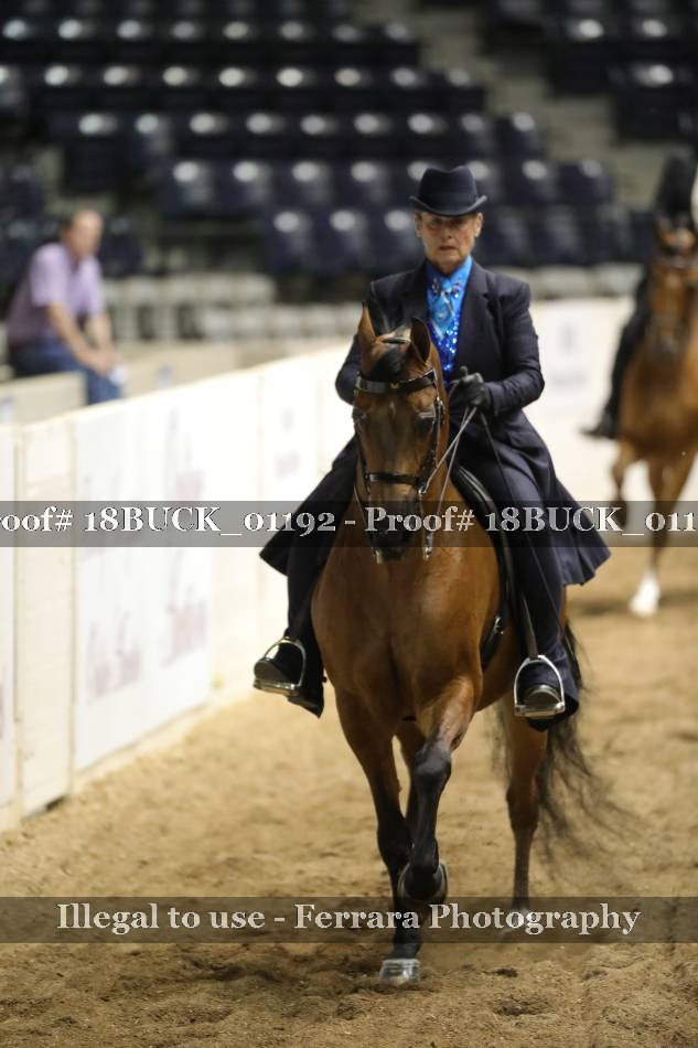 Proof 18BUCK_01192