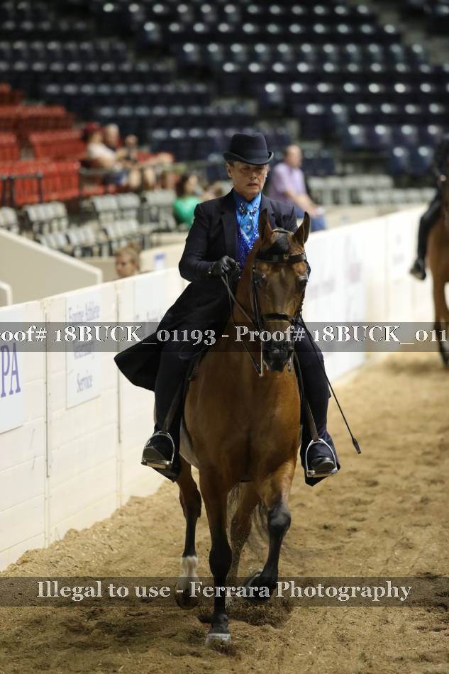Proof 18BUCK_01193