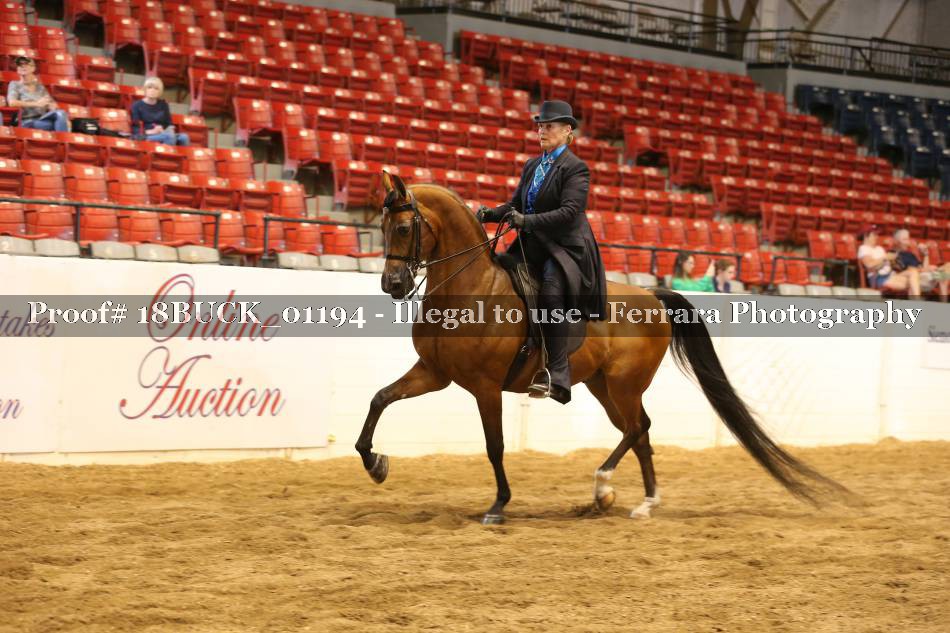 Proof 18BUCK_01194