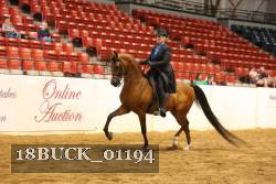 18BUCK_01194 proof