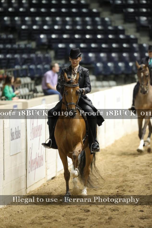 Proof 18BUCK_01196