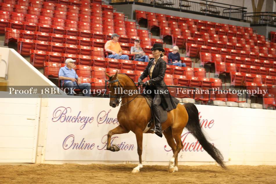 Proof 18BUCK_01197
