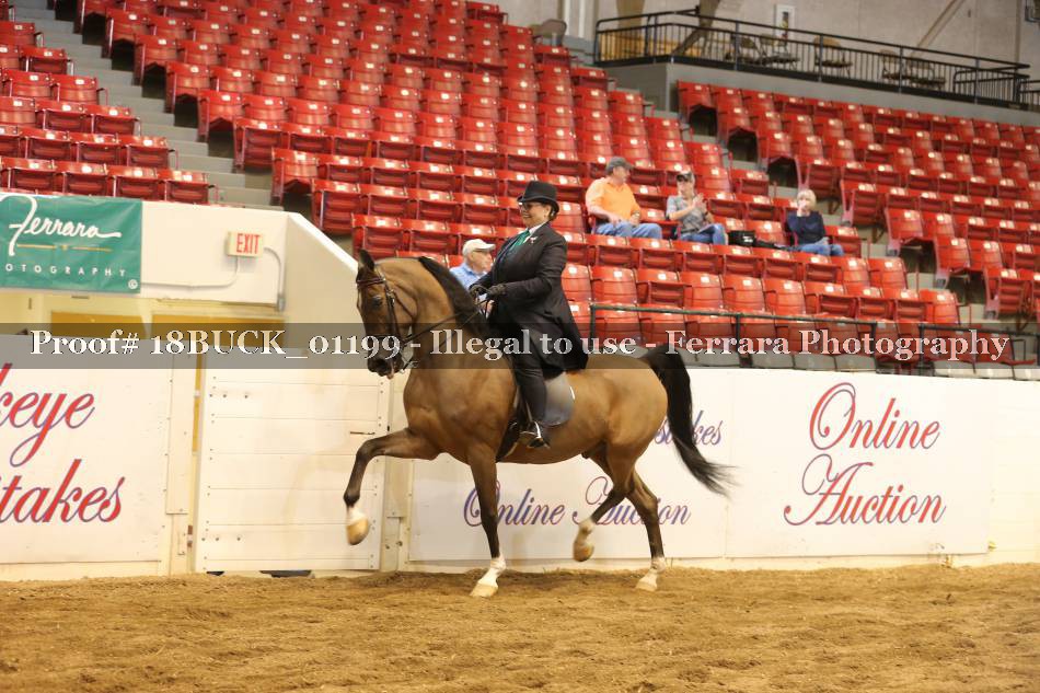 Proof 18BUCK_01199