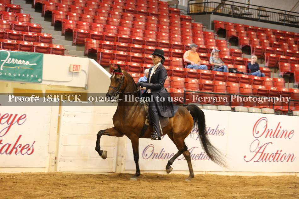 Proof 18BUCK_01202