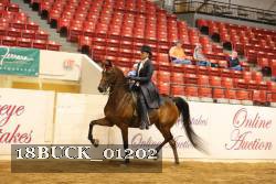 18BUCK_01202 proof