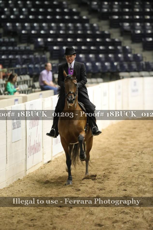 Proof 18BUCK_01203