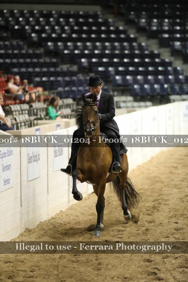 Proof 18BUCK_01204