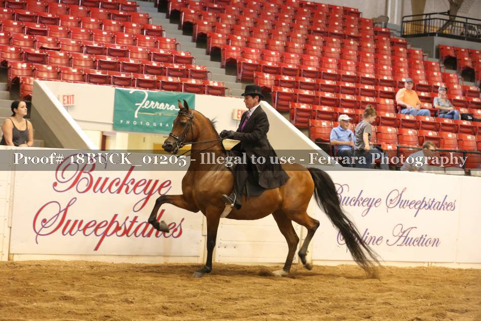 Proof 18BUCK_01205