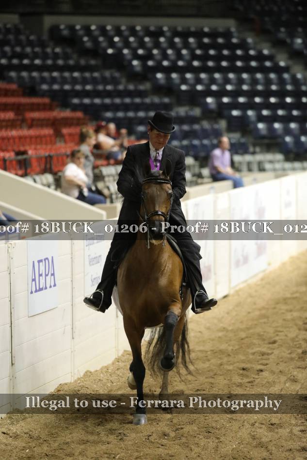 Proof 18BUCK_01206