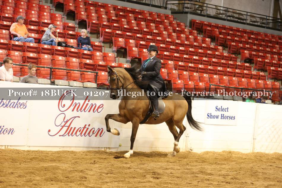 Proof 18BUCK_01207