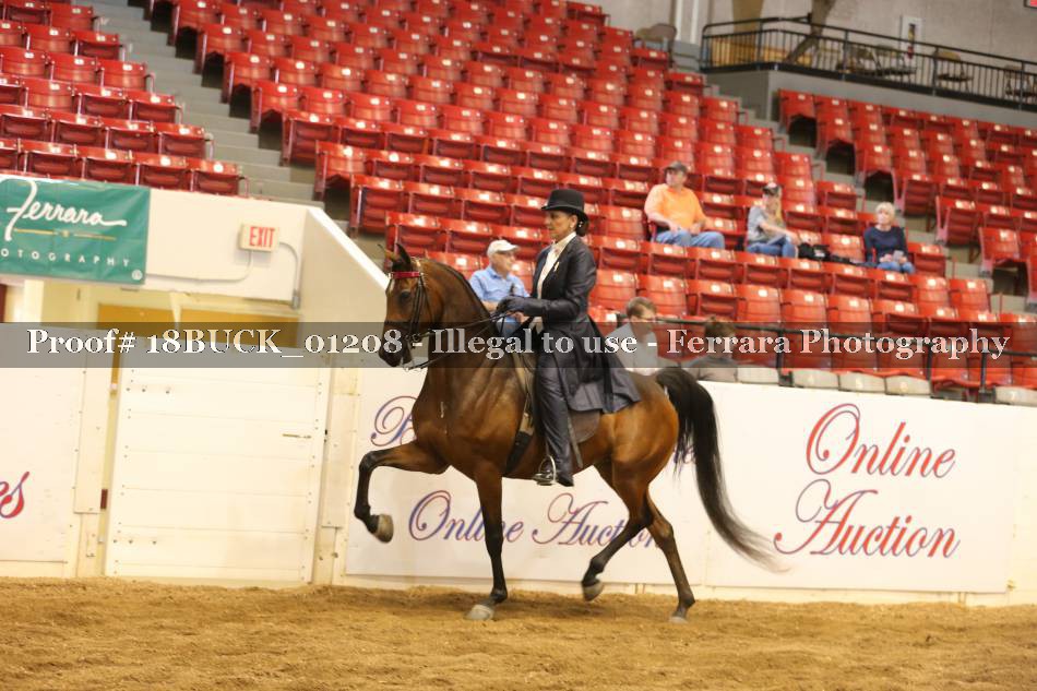 Proof 18BUCK_01208