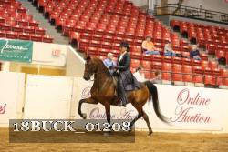 18BUCK_01208 proof