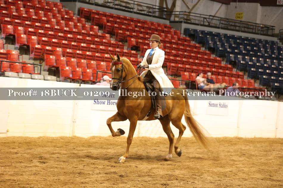 Proof 18BUCK_01209