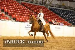 18BUCK_01209 proof