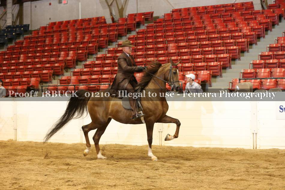 Proof 18BUCK_01210