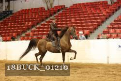 18BUCK_01210 proof