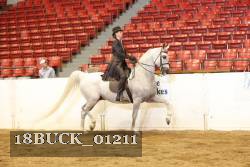 18BUCK_01211 proof