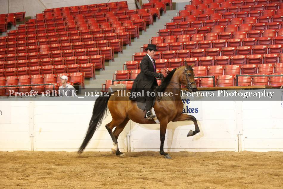 Proof 18BUCK_01212