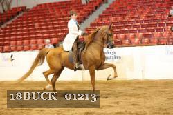18BUCK_01213 proof