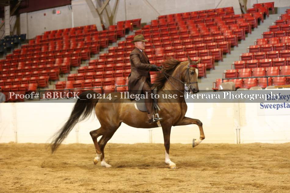 Proof 18BUCK_01214