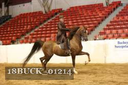 18BUCK_01214 proof